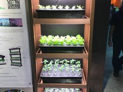 -连城·新天地(福华一路店)