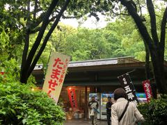-热田神宫
