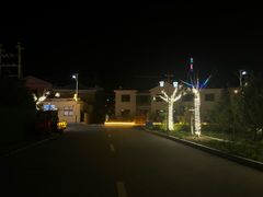 -大鹿岛