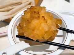 -丁老爷子苏香圆
