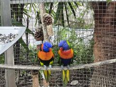 -大连森林动物园