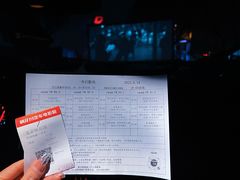 -枫花园汽车电影院(朝阳公园店)