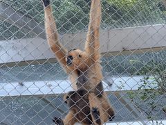 -合肥野生动物园