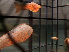 -红鼎豆捞·非遗鲍皇汤火锅(宝丰路店)