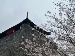 -枫桥夜泊