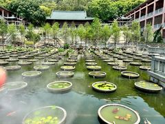 -石峰岩寺