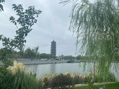 -葛仙湖公园