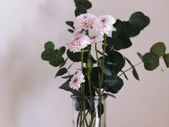 -盒马鲜生(悠方店)