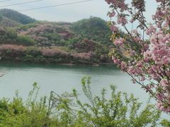 -四明山国家森林公园