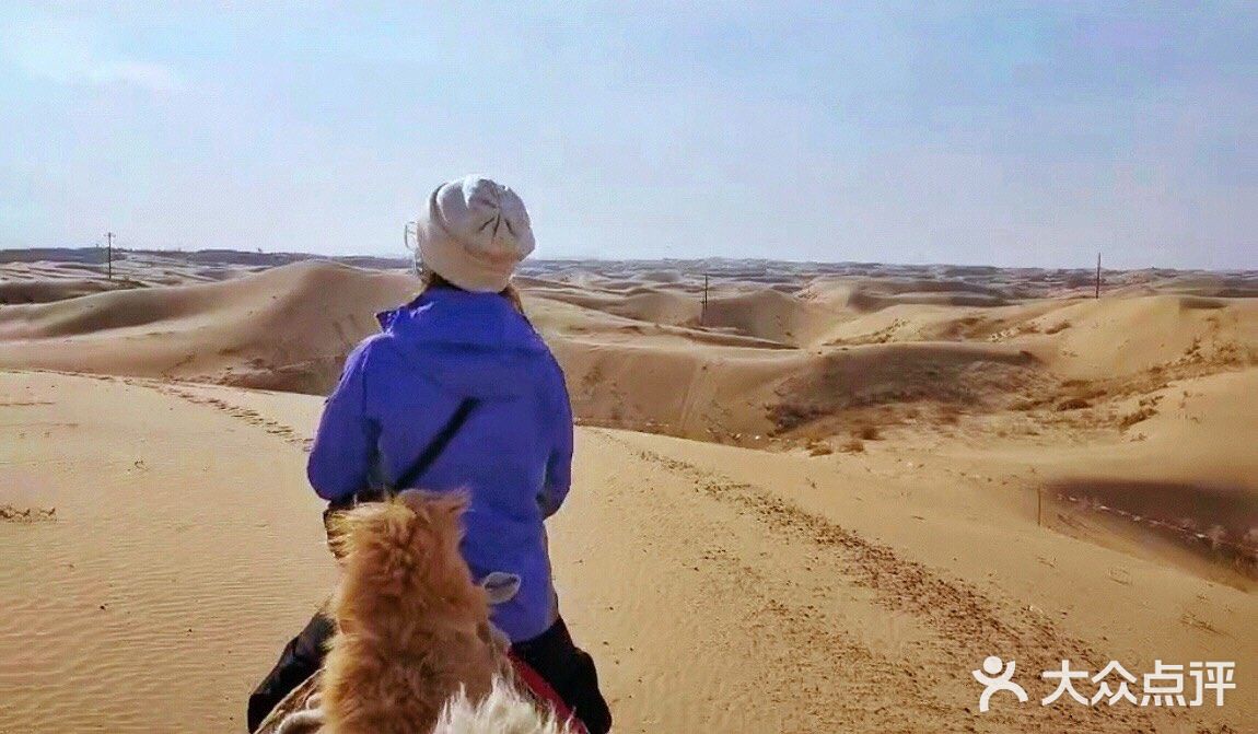 蚂蚁森林小树苗我来啦[调皮]