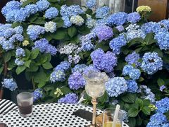 -Lamant Manor已闻花名关於蓝