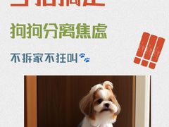 -和它·交个朋友·狗咖猫咖(爱琴海店)
