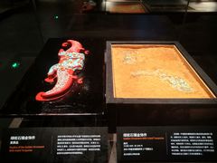 -盘龙城遗址博物院