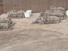 -秦始皇帝陵博物院-丽山园