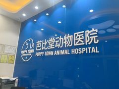 -芭比堂动物医院·CT·微创中心(新顺分院)
