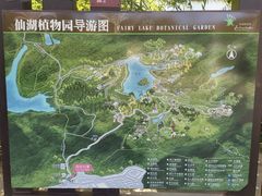 -深圳仙湖植物园