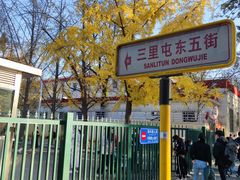 -三里屯东五街银杏大道