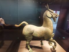 -广西壮族自治区博物馆