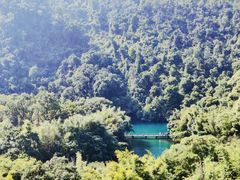 -鼎湖山风景区