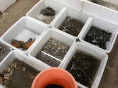 -亭下湖饭店(康岭店)