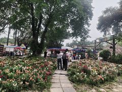-广东花都香草世界旅游度假区