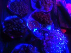 -老木头音乐空间(月河街店)