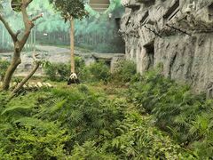 -石排湾郊野公园