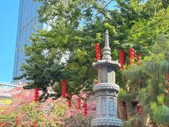 -越秀西湖花市(广州城市广场花卉店)