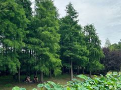 -同里国家湿地公园