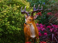 -共青国家森林公园-售票处