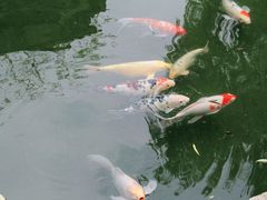 -三里河公园