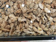 -福泉海码头(六里山店)