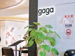 -gaga(深圳南山益田假日广场店)