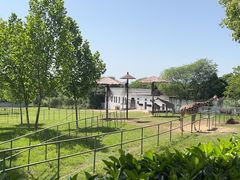 -合肥野生动物园