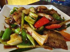 回锅肉-达老餐厅