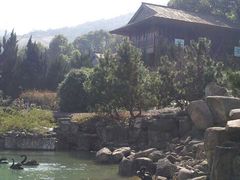 -白马涧龙池景区