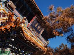 -大召无量寺