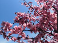 -白塘生态植物园