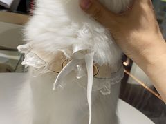 -怪兽屋·羊驼·猫咖·狗咖(俊华广场店)