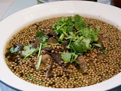 过江毛肚-鲜螺湾(鹏欣丽都店)