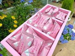 -苏小糖(鼓浪屿三丘田花园店)