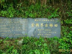 -紫鹊界梯田景区