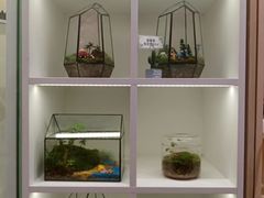 -陶语手工·拼豆·陶艺·银饰diy(宽厚里店)