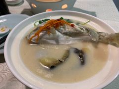 养颜白汁河豚-肆月河豚·新淮扬(金融街店)
