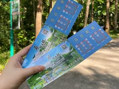 -西双版纳原始森林公园