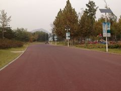 -济南国际园博园