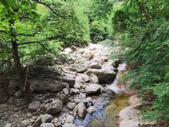 -青峰峡国家森林公园