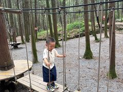 -重庆睡佛山森林公园