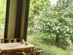 -东园小馆·早茶·淮扬小炒(宋夹城店)