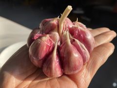 -白记爆炒牛犊肉羊羔肉·清真